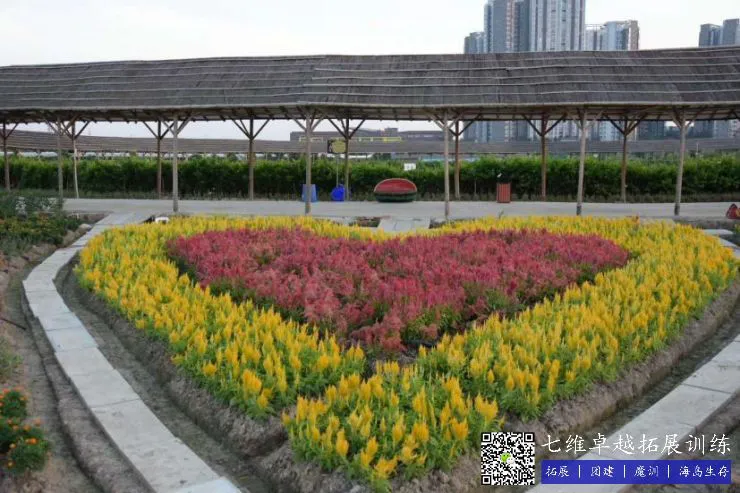 哪里可以找到关于云计算在篮球发展中的应用案例_1